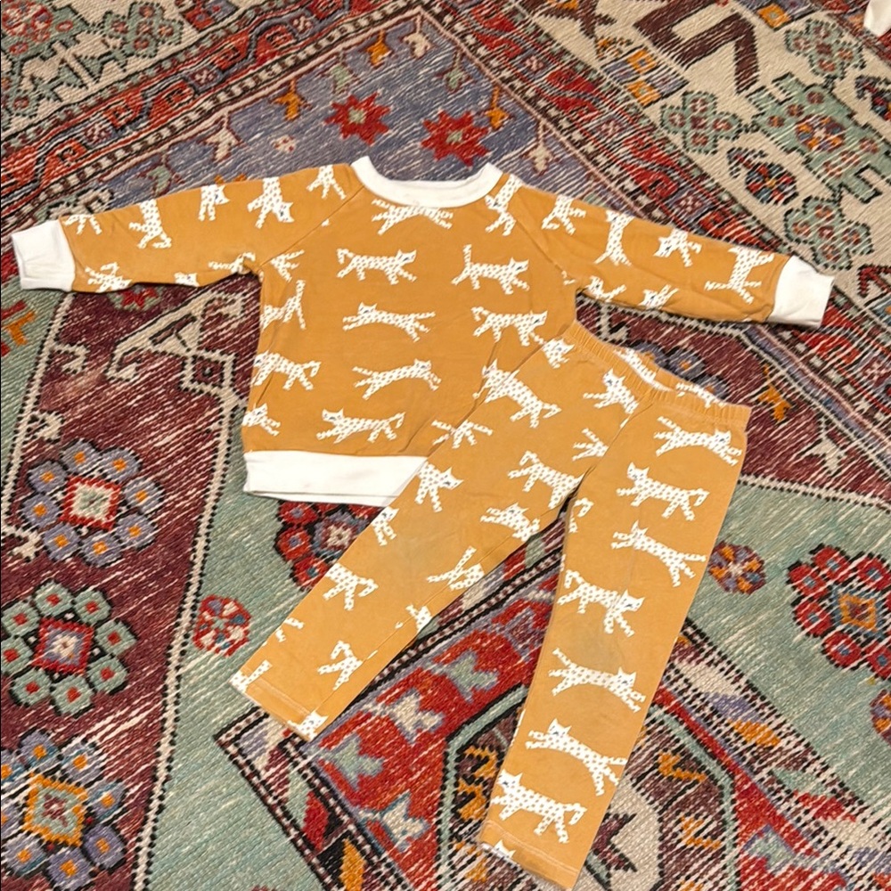 Winter Water Factory Leopard Print Matching Set